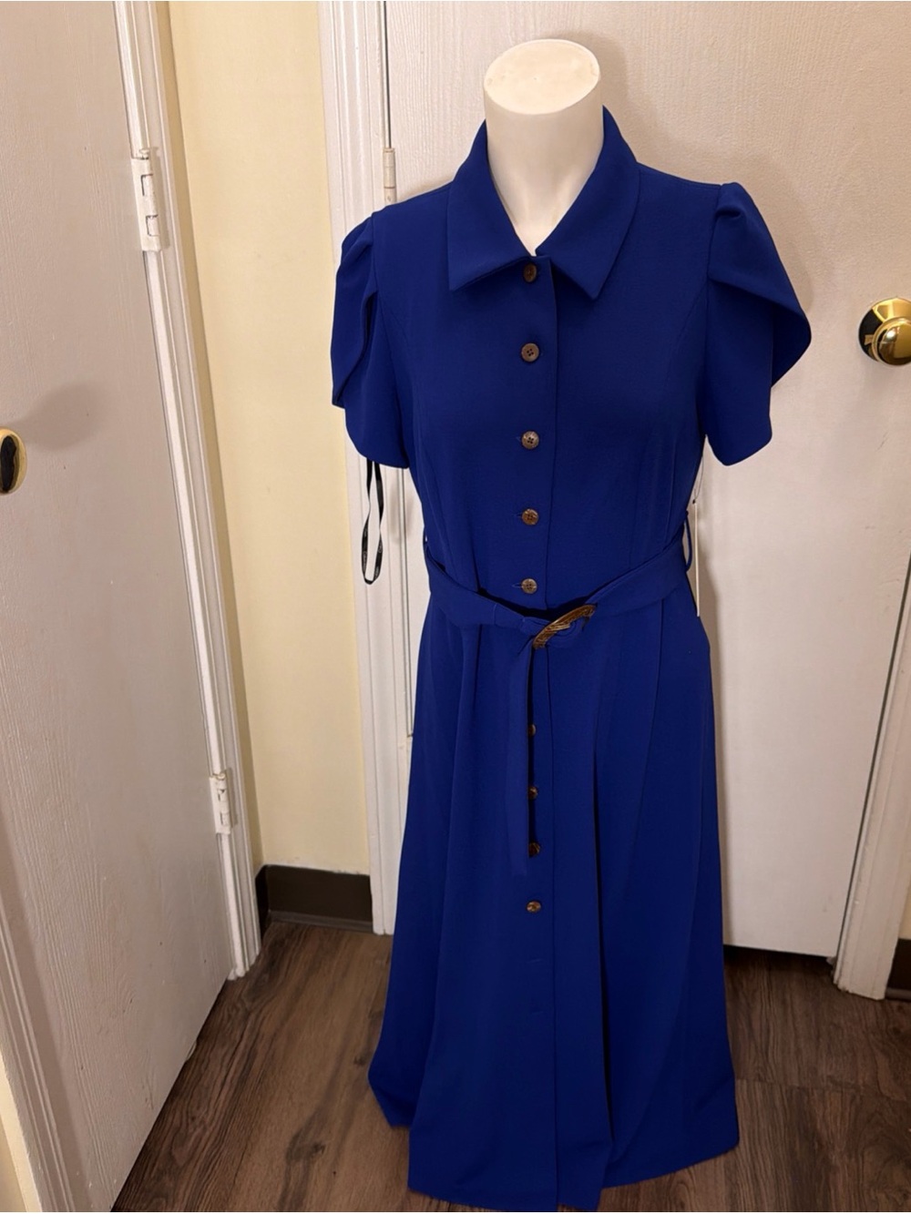 Calvin Klein Belted Button Front Shirt Dress Sz 8 puff Sleeve NWT Royal Blue